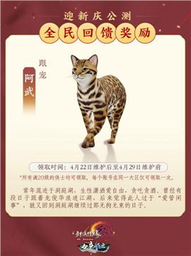 新开遗忘天龙八部私服